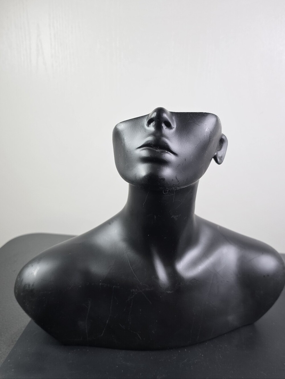 Black Female Mannequin Bust Display for Jewelry